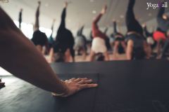 Klang-des-Herzens-Bodensee-2019-109