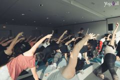 Klang-des-Herzens-Bodensee-2019-115