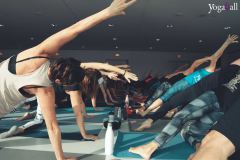 Klang-des-Herzens-Bodensee-2019-116