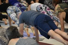 Yoga4all-Klang-des-Herzens-Bodensee-2021-181