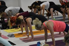 Yoga4all-Klang-des-Herzens-Bodensee-2021-234