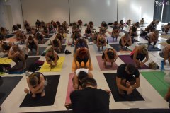 Yoga4all-Klang-des-Herzens-Bodensee-2021-254