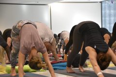 Yoga4all-Klang-des-Herzens-Bodensee-2021-271