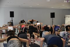 Yoga4all-Klang-des-Herzens-Bodensee-2021-290