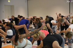 Yoga4all-Klang-des-Herzens-Bodensee-2021-295