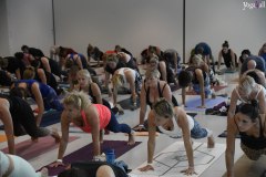 Yoga4all-Klang-des-Herzens-Bodensee-2021-326