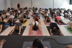 Yoga4all-Klang-des-Herzens-Bodensee-2021-343