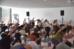 Yoga4all-Klang-des-Herzens-Bodensee-2021-361